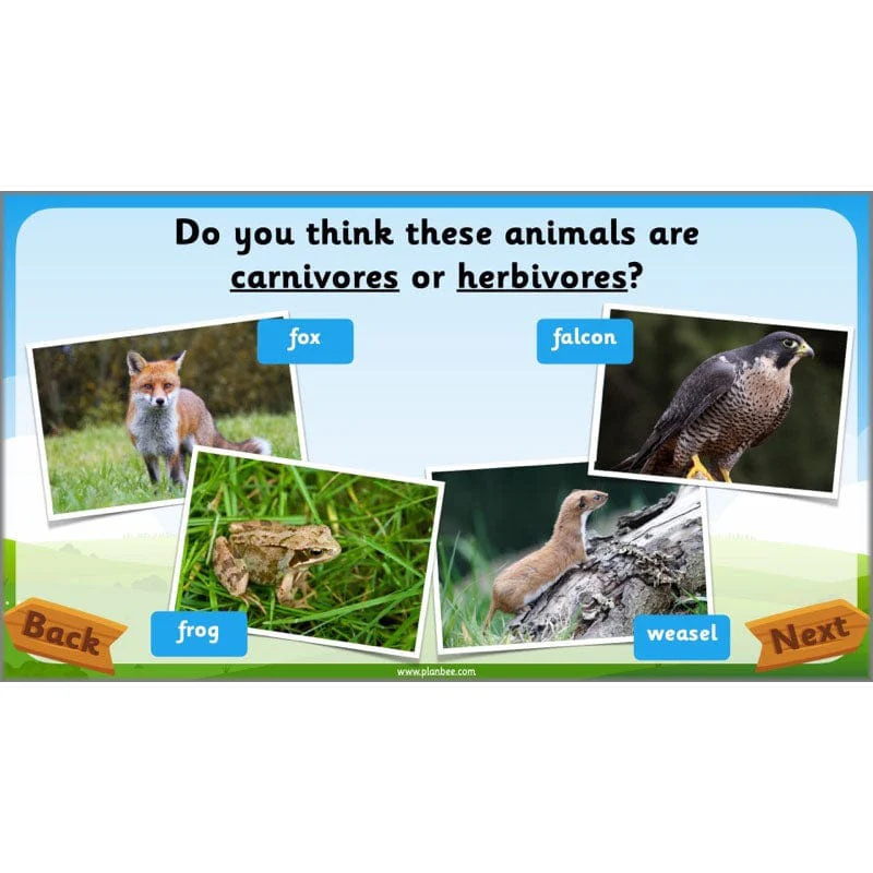 Identifying Animals - Image 53