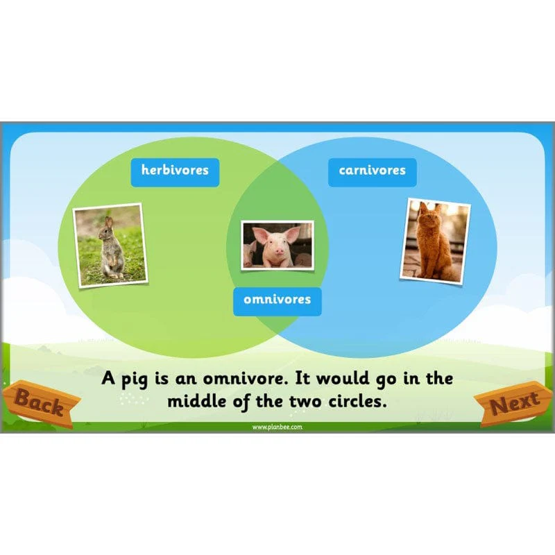 Identifying Animals - Image 55