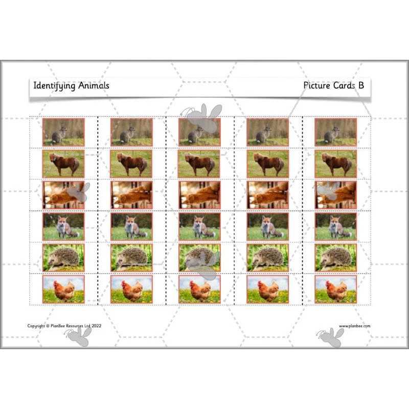 Identifying Animals - Image 58