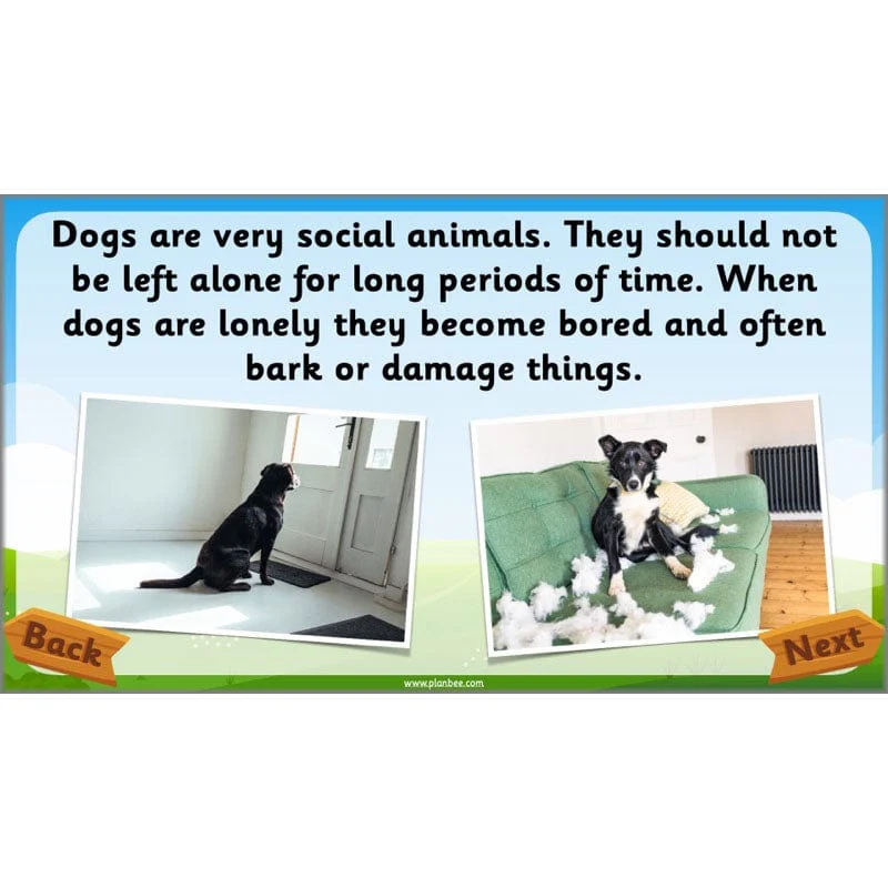 Identifying Animals - Image 60