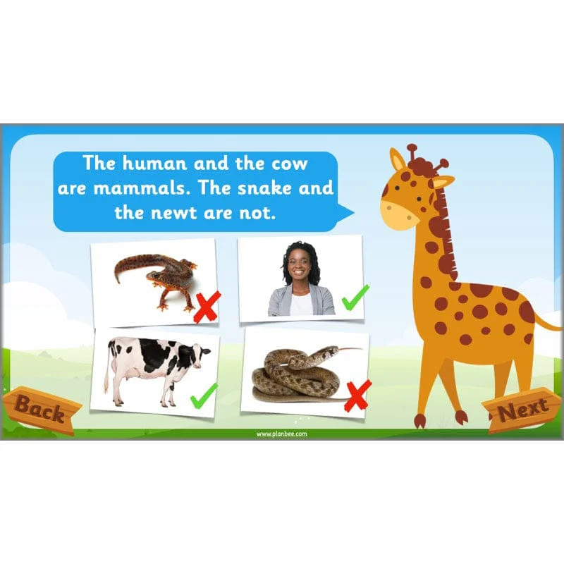 Identifying Animals - Image 71