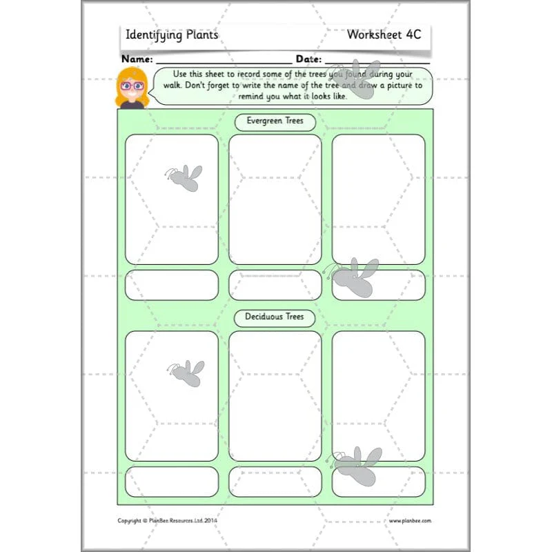 Identifying Plants - Image 17