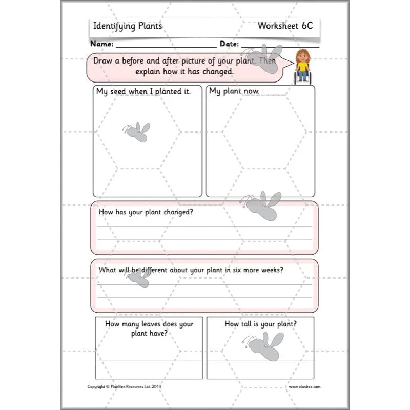 Identifying Plants - Image 19