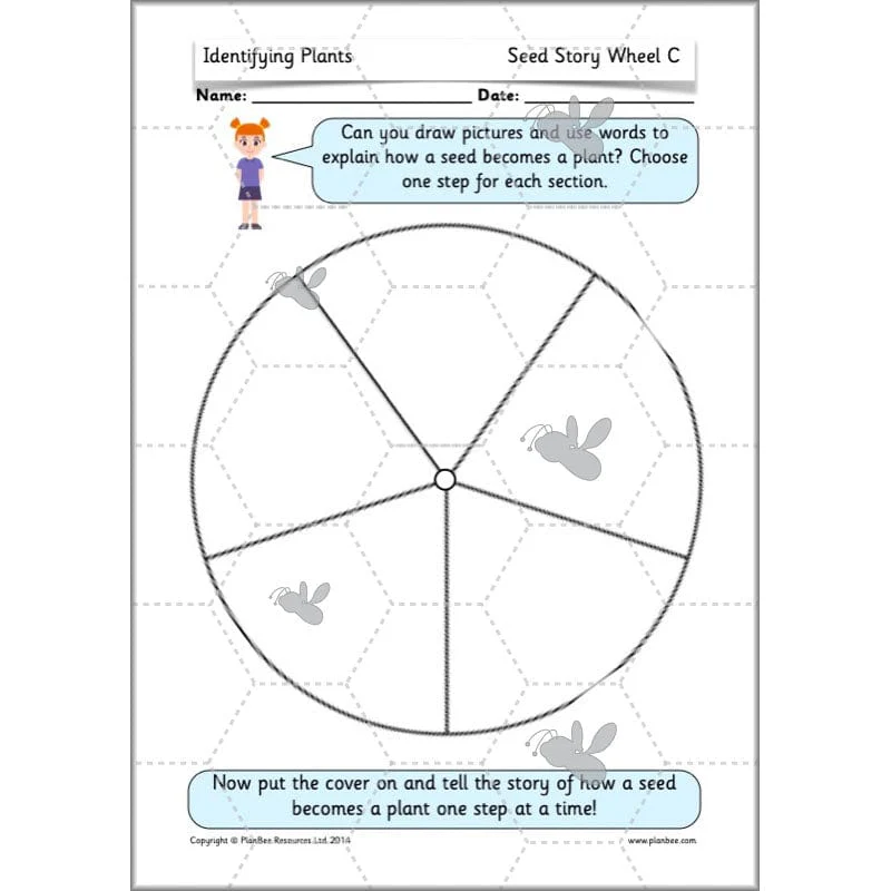 Identifying Plants - Image 20