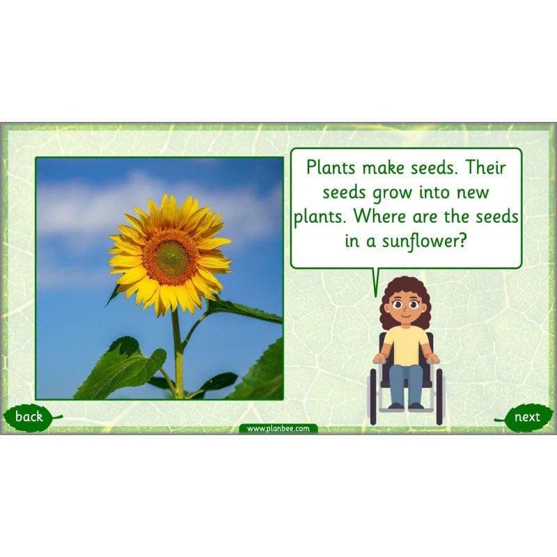 Identifying Plants - Image 27