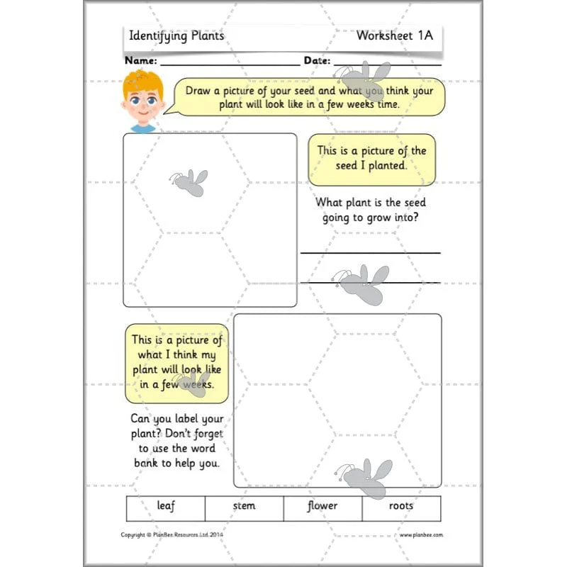 Identifying Plants - Image 29