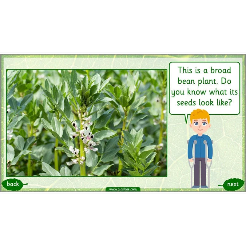 Identifying Plants - Image 3