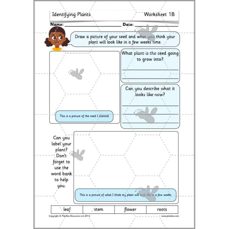 Identifying Plants - Image 30