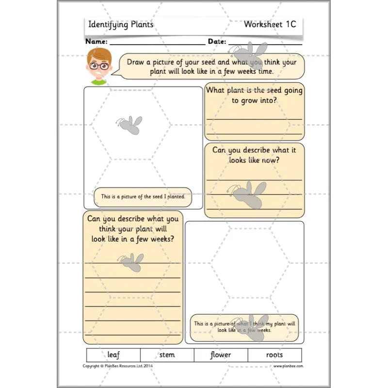 Identifying Plants - Image 31