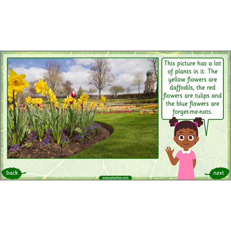 Identifying Plants - Image 34