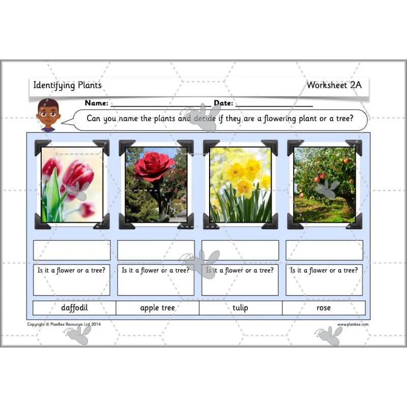 Identifying Plants - Image 37