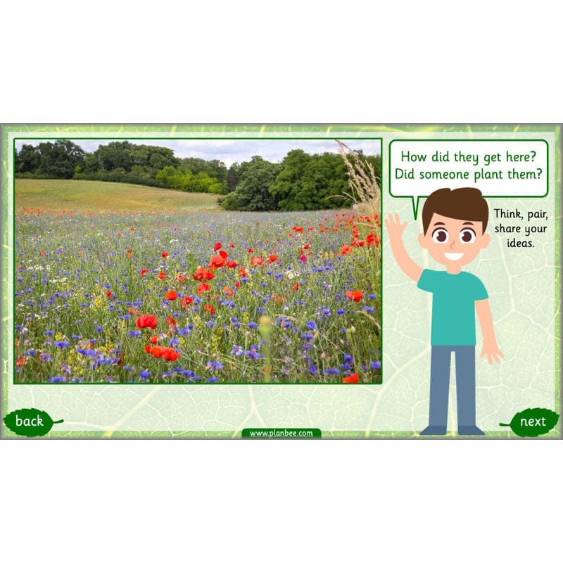 Identifying Plants - Image 42
