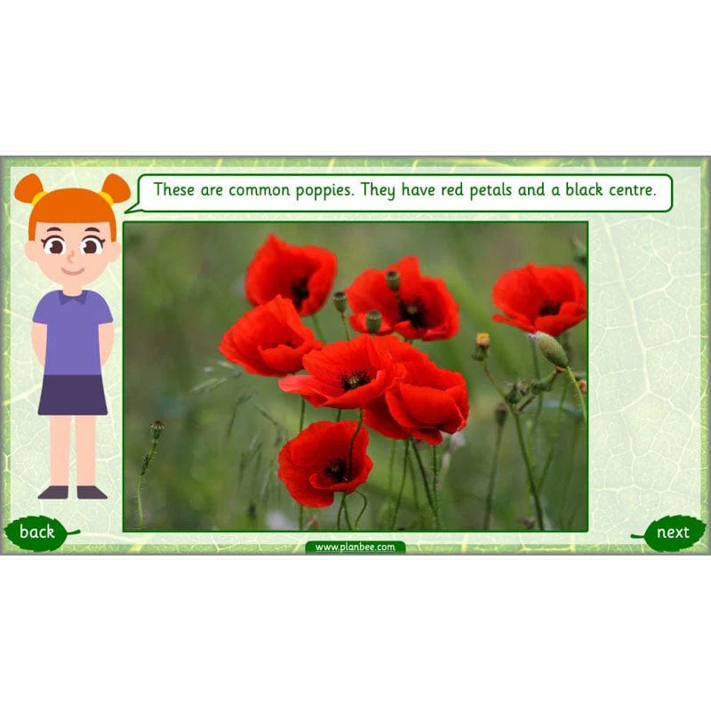 Identifying Plants - Image 43