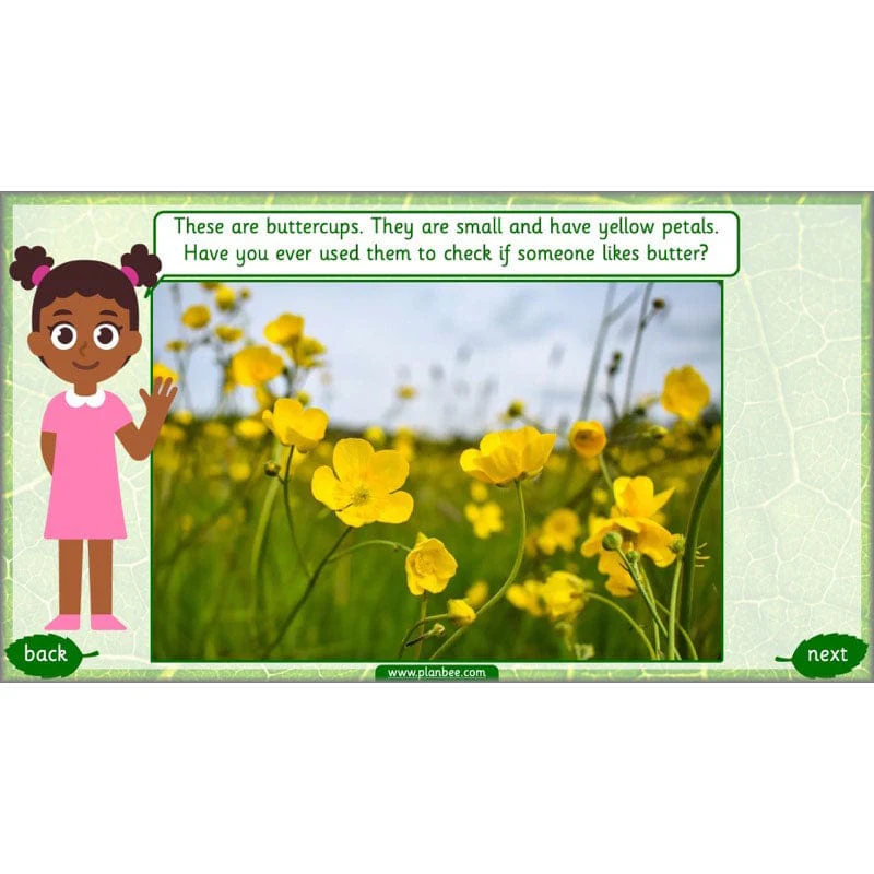 Identifying Plants - Image 44
