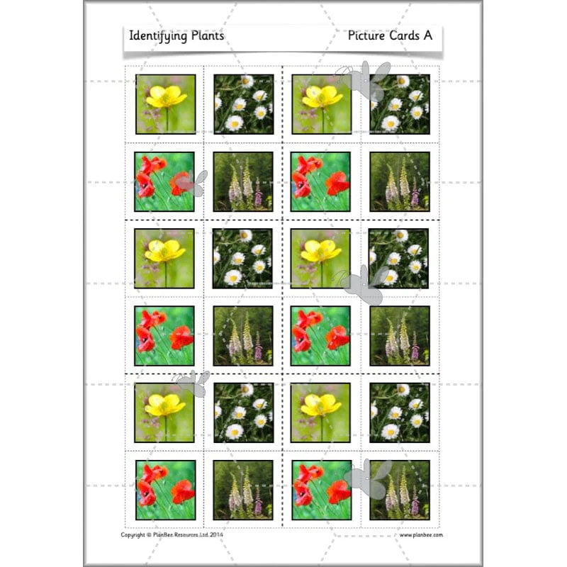 Identifying Plants - Image 45