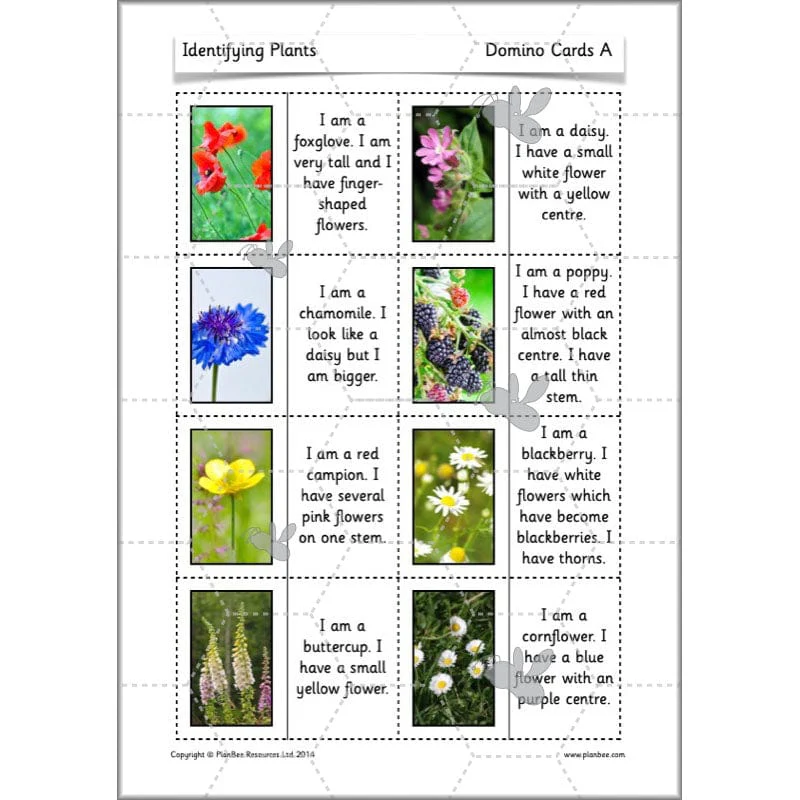 Identifying Plants - Image 46