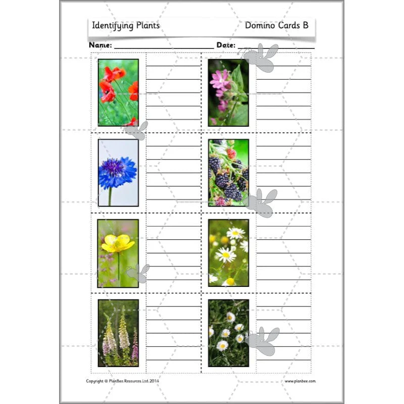 Identifying Plants - Image 47