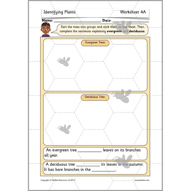 Identifying Plants - Image 53
