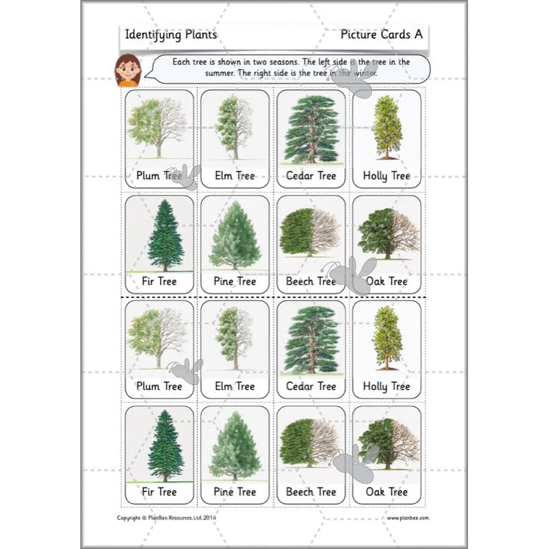Identifying Plants - Image 54