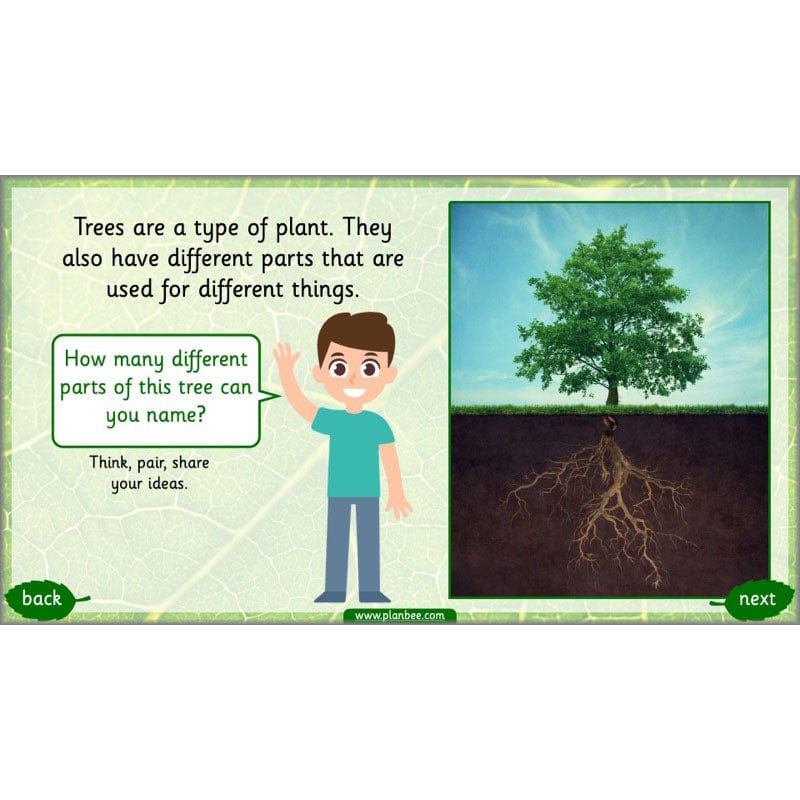 Identifying Plants - Image 59
