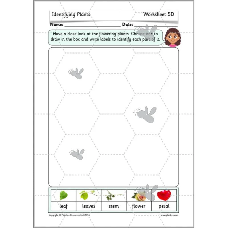 Identifying Plants - Image 63