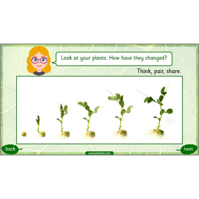 Identifying Plants - Image 67