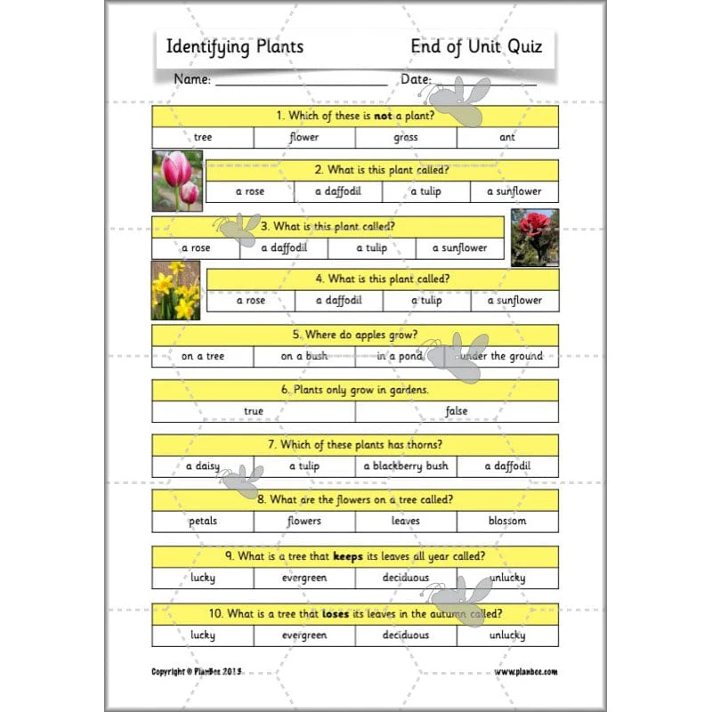 Identifying Plants - Image 72