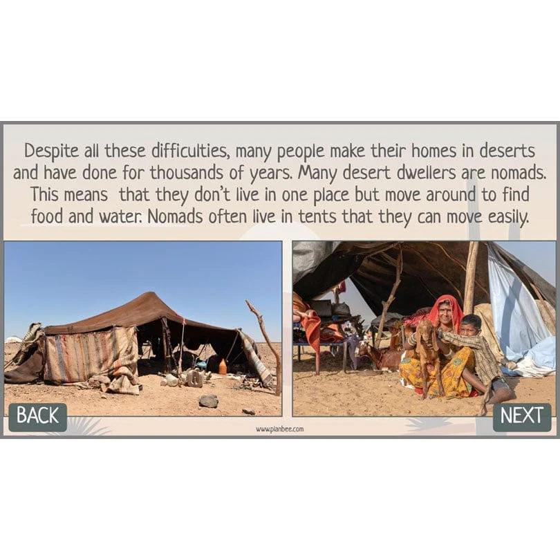In the Desert - Image 11