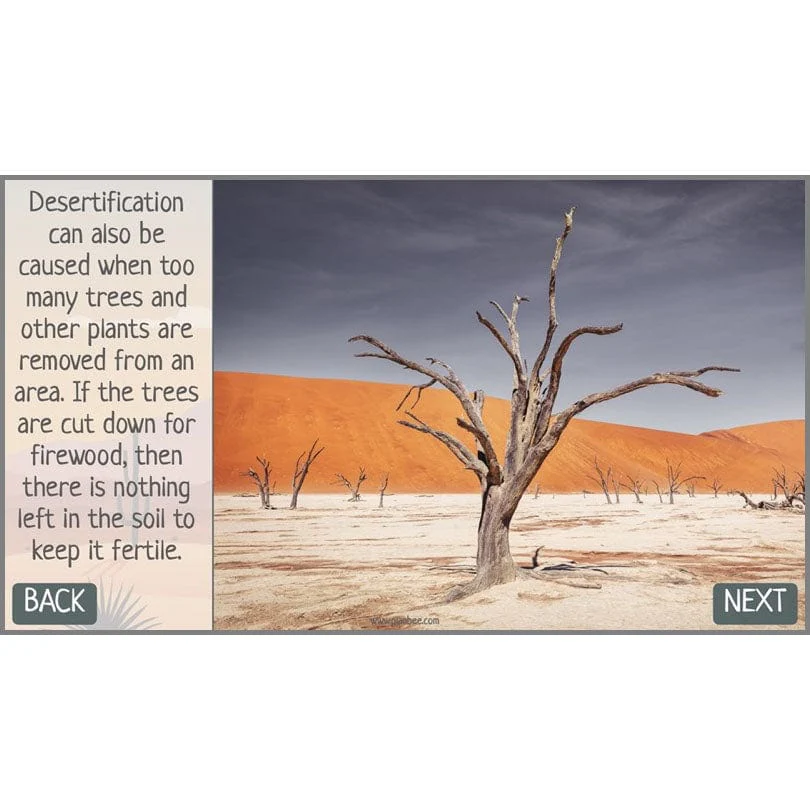In the Desert - Image 13