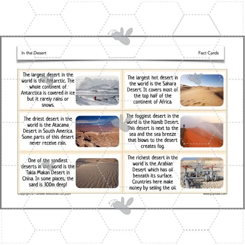 In the Desert - Image 29