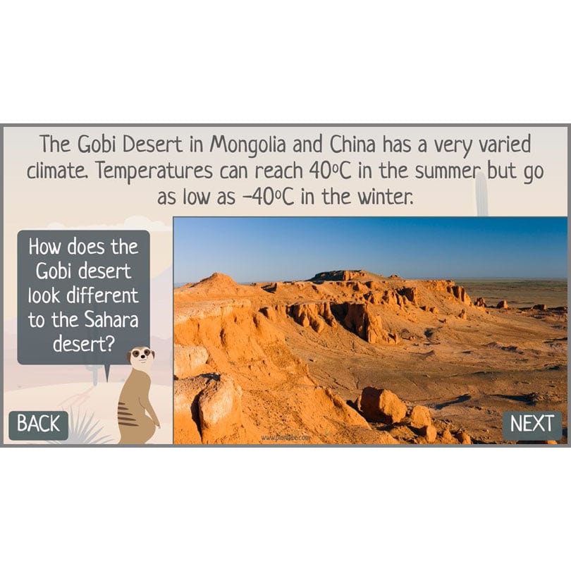 In the Desert - Image 33