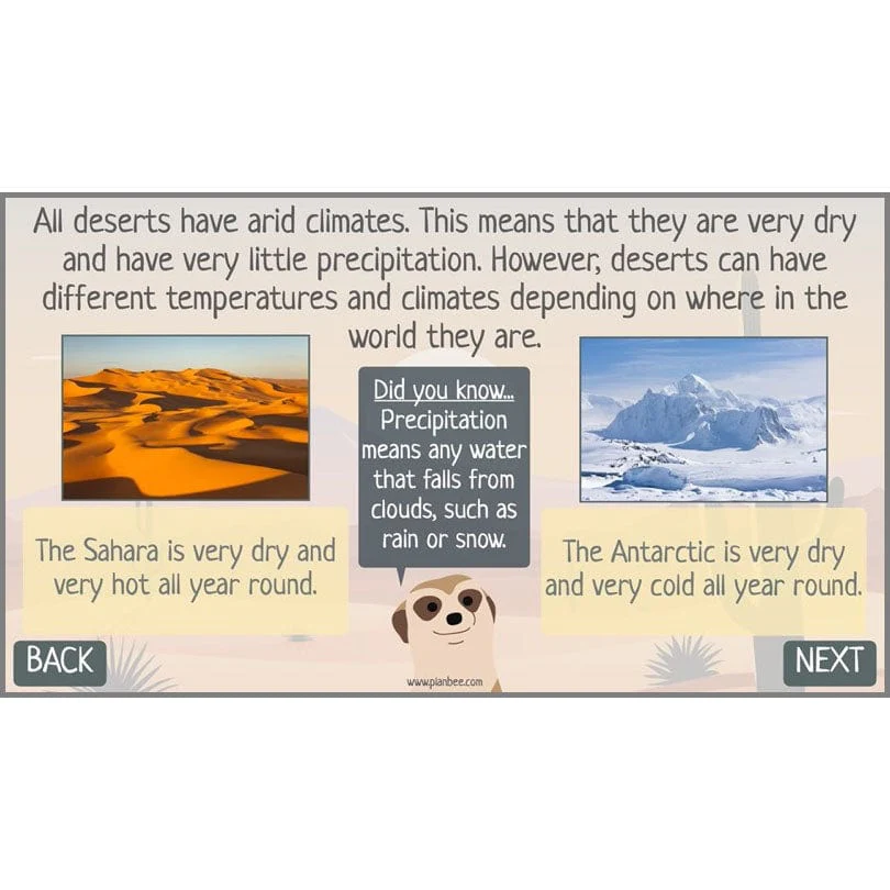 In the Desert - Image 5