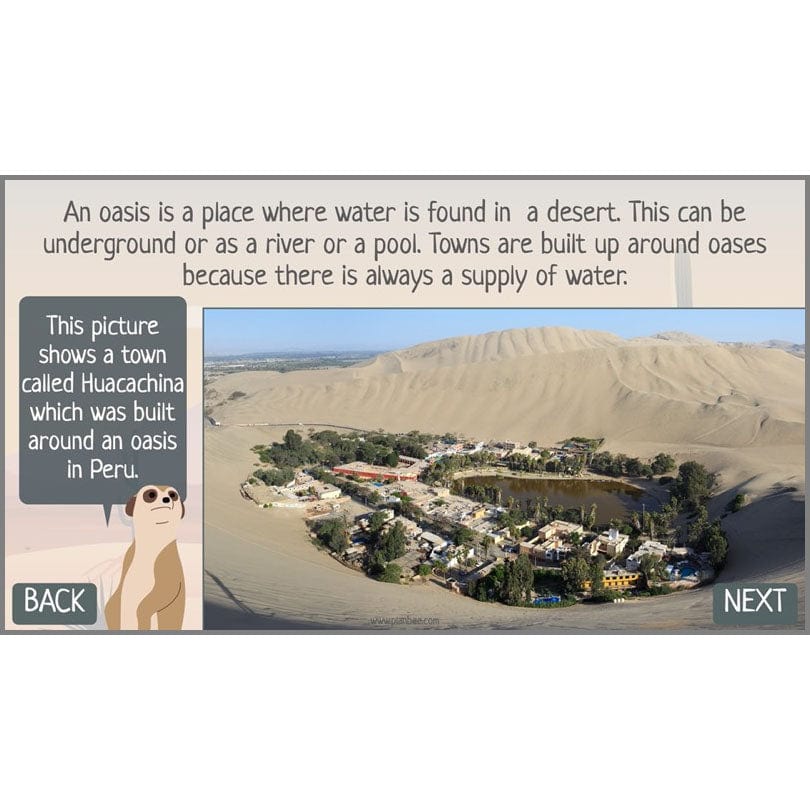 In the Desert - Image 57