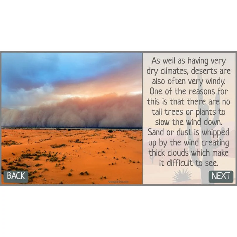 In the Desert - Image 6