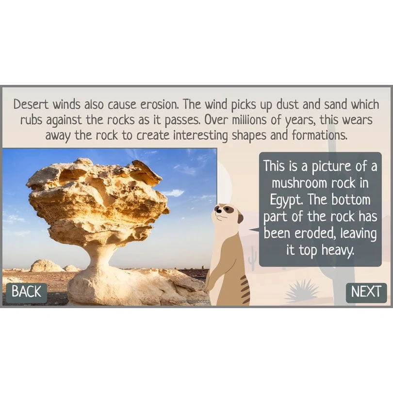 In the Desert - Image 7