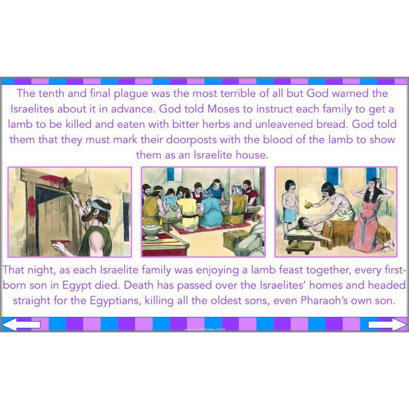Jewish Celebrations - Image 10