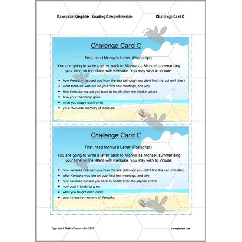 Kensuke's Kingdom: Reading Comprehension - Image 16