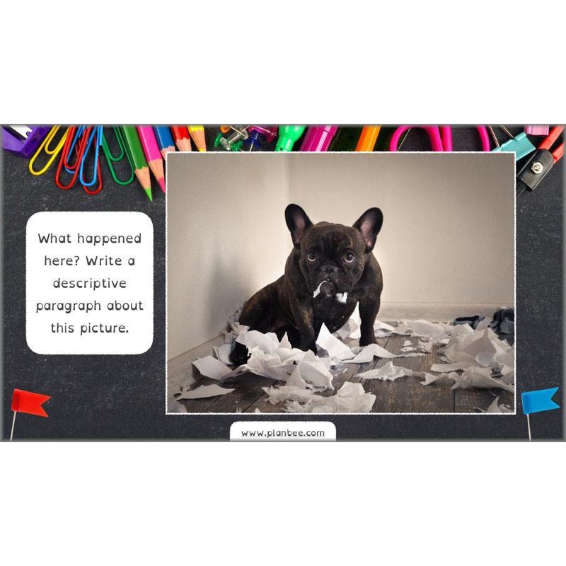 KS1 Brain Teasers Pack - Image 11