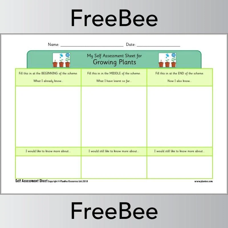 KS1 Science Self Assessment Sheets - Image 13