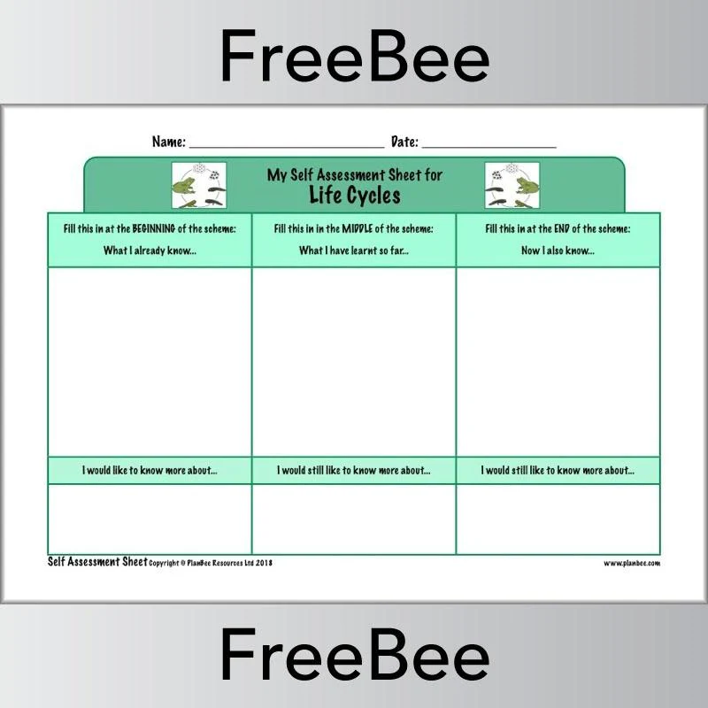KS2 Science Self Assessment Sheets - Image 11