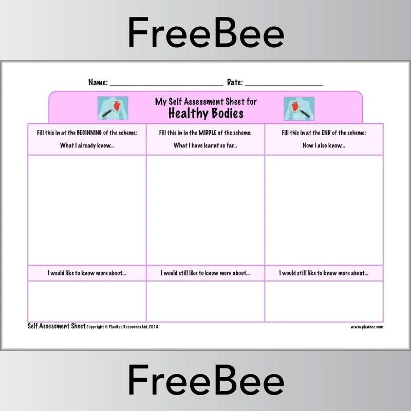 KS2 Science Self Assessment Sheets - Image 20
