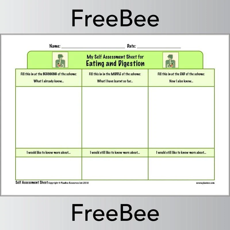KS2 Science Self Assessment Sheets - Image 5