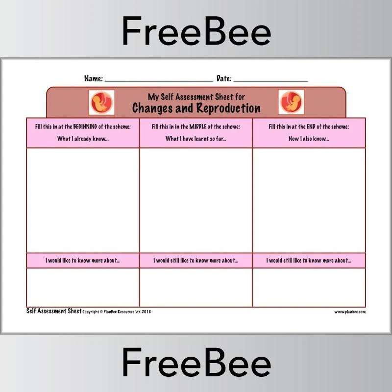 KS2 Science Self Assessment Sheets - Image 8