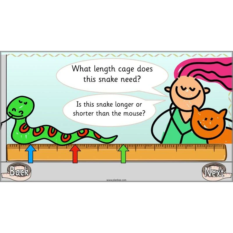 Let’s Compare Length, Height and Mass - Image 3