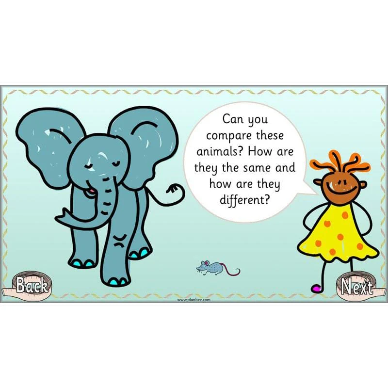 Let’s Compare Length, Height and Mass - Image 35