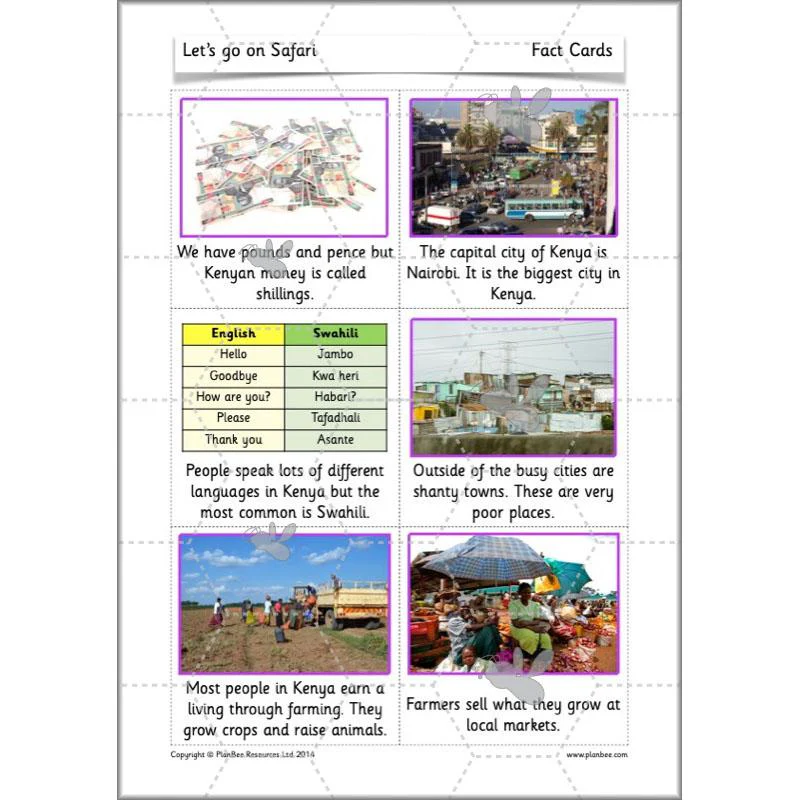Let's go on Safari - Image 16