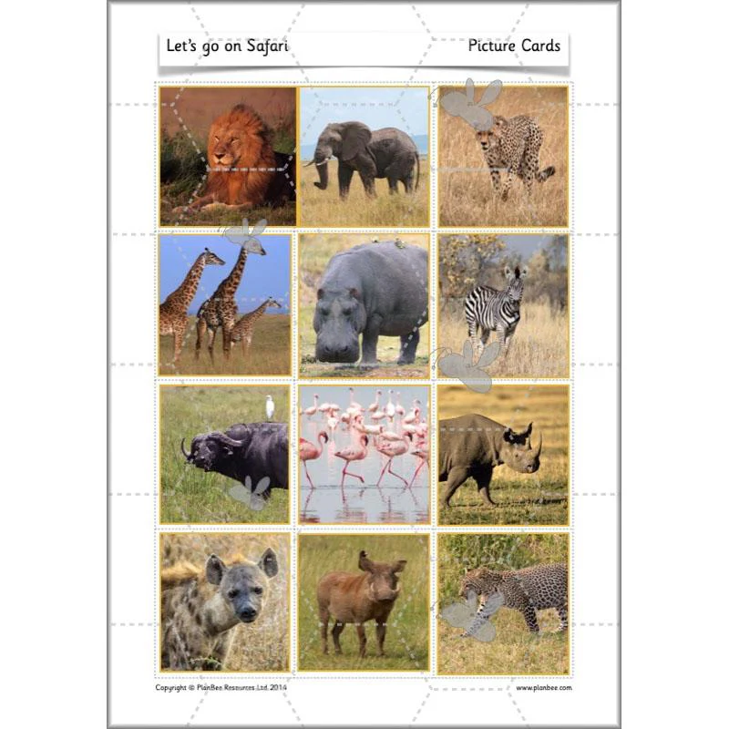Let's go on Safari - Image 44