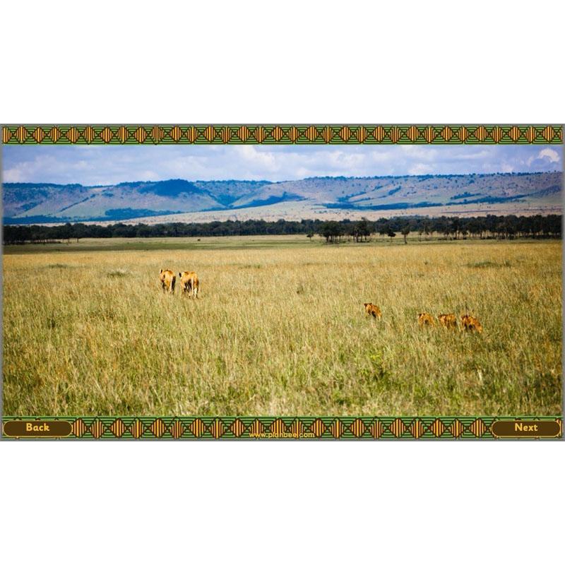 Let's go on Safari - Image 55