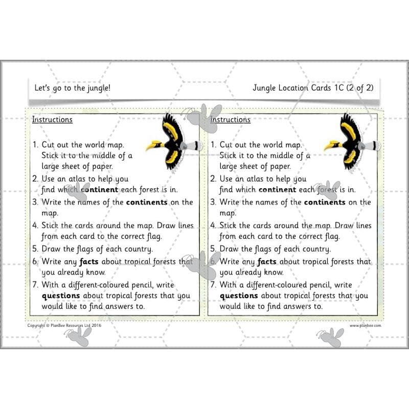 Let's go to the jungle - Image 18
