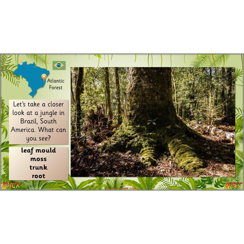 Let's go to the jungle - Image 28